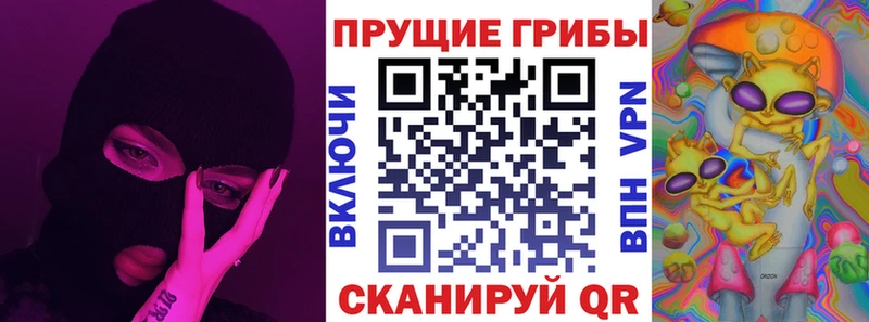 Галлюциногенные грибы Psilocybe  Курильск 